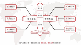 企业飞行系统