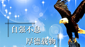 文化与氛围